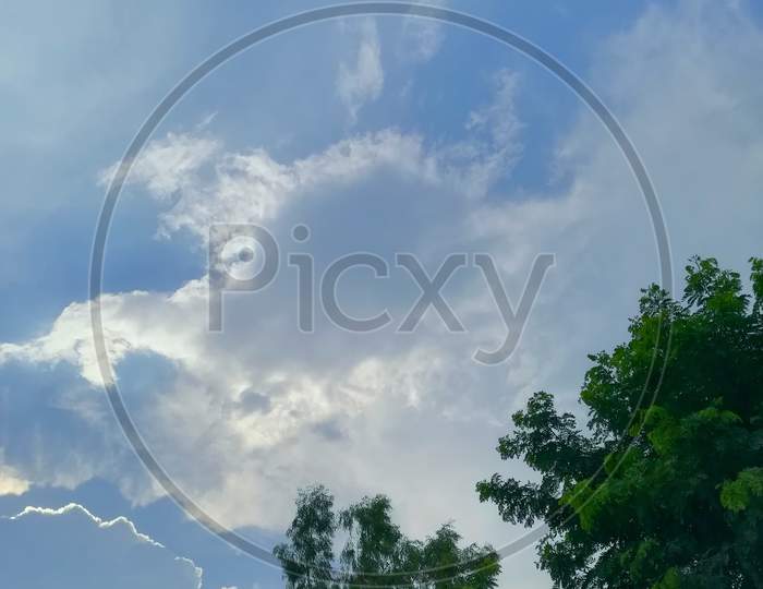 Tree, cloud, atmosphere