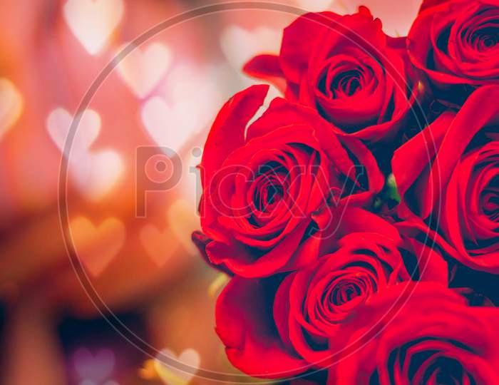 Red rose in romantic heart bokeh  background.