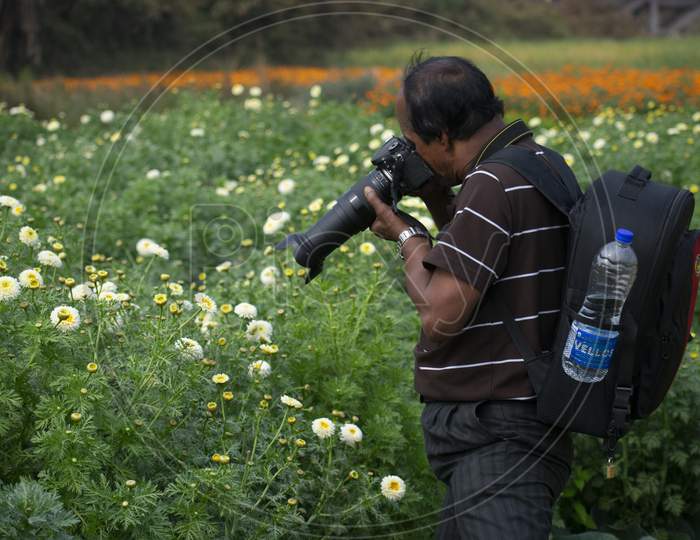 Khirai Midnapore, West Bengal, India - 11Th October 2020 : A Photographer Shooting In A Flower Field.