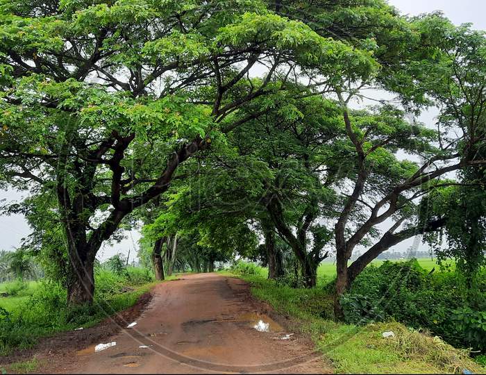 Red road way remote area village with tree and green background