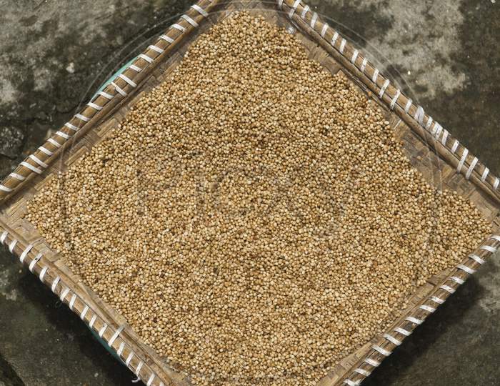 Coriander Seeds Keeping In Bamboo Tray For Drying In Sunlight