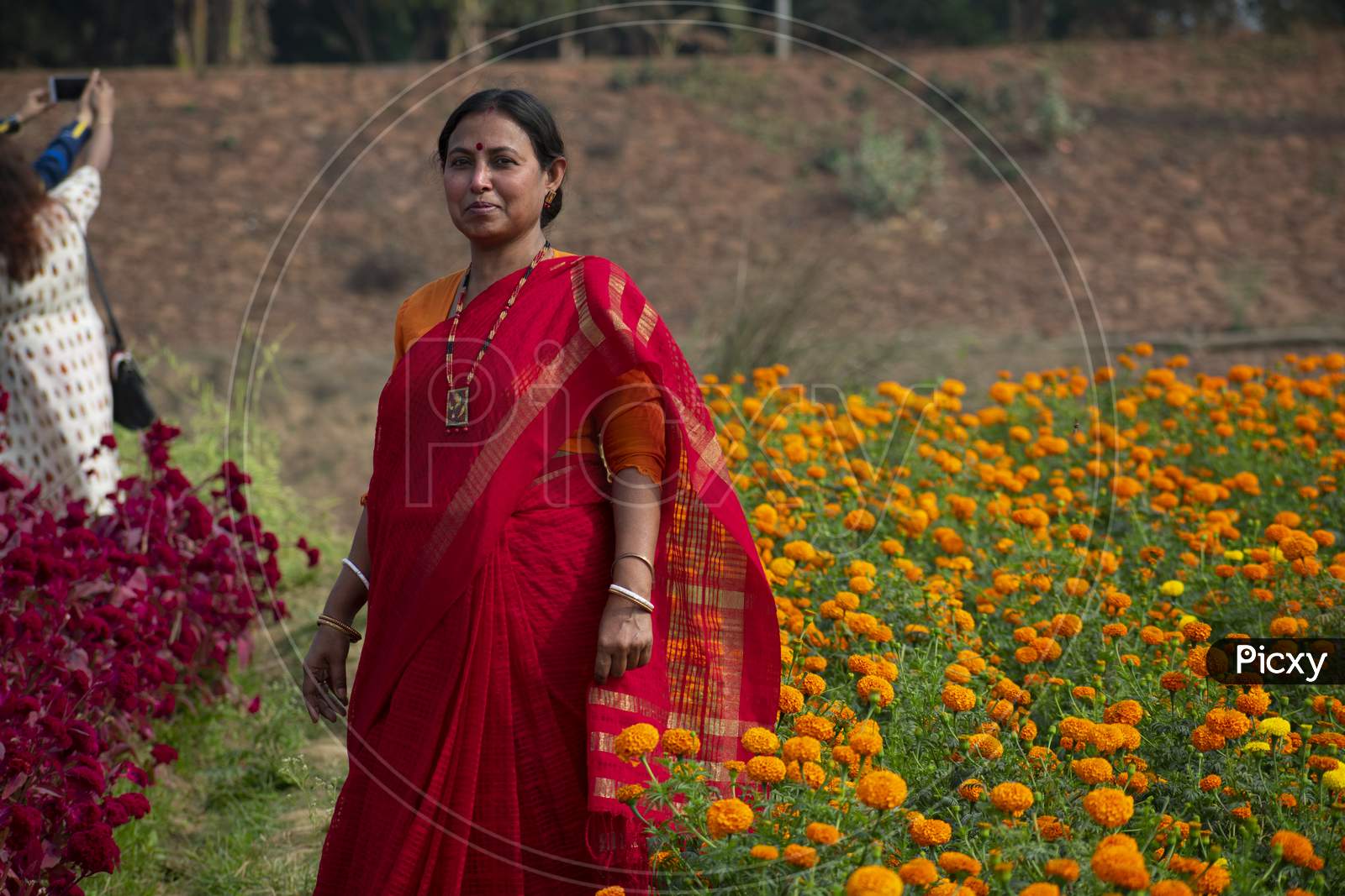 Khirai Midnapore, West Bengal, India - 11Th October 2020 : Tourist Enjoying The Flower Cultivation