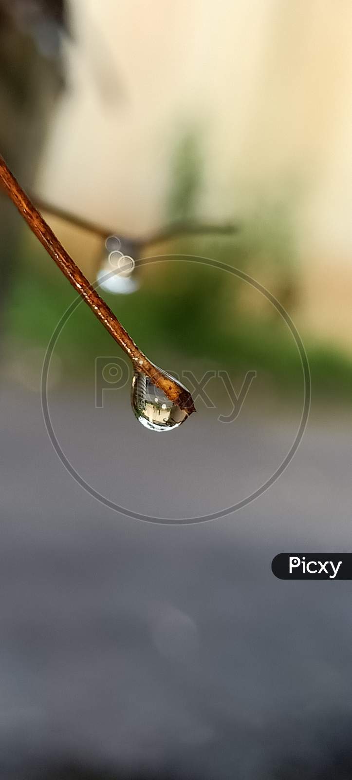 Rain drop, macro image ,water drop ,nature drop
