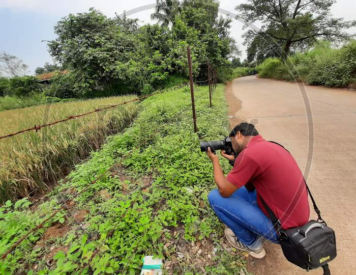 Man taking photos of rice farm