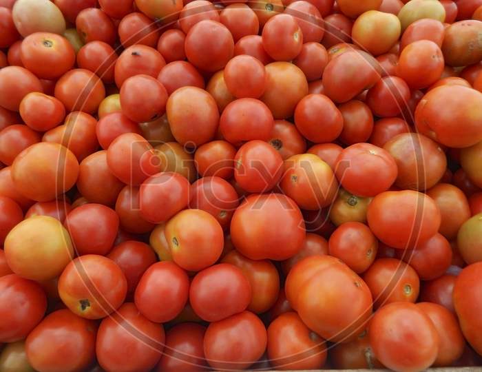 Red And Ripe Tomatoes