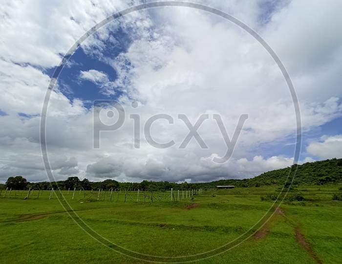 Field and sky view