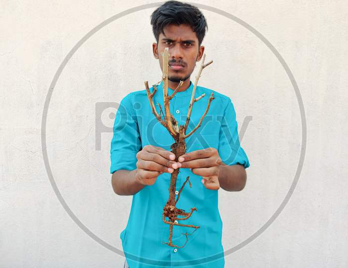 South Indian Man In Cyan Shirt Holding A Stem With Roots Of A Small Plant. Isolated On White Background. Save Trees Concept