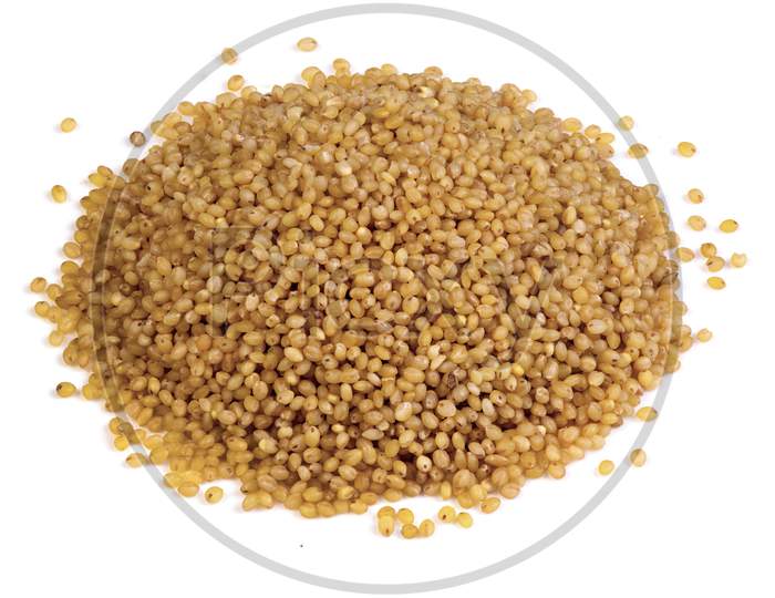 Foxtail Millet Against A White Background, Isolated