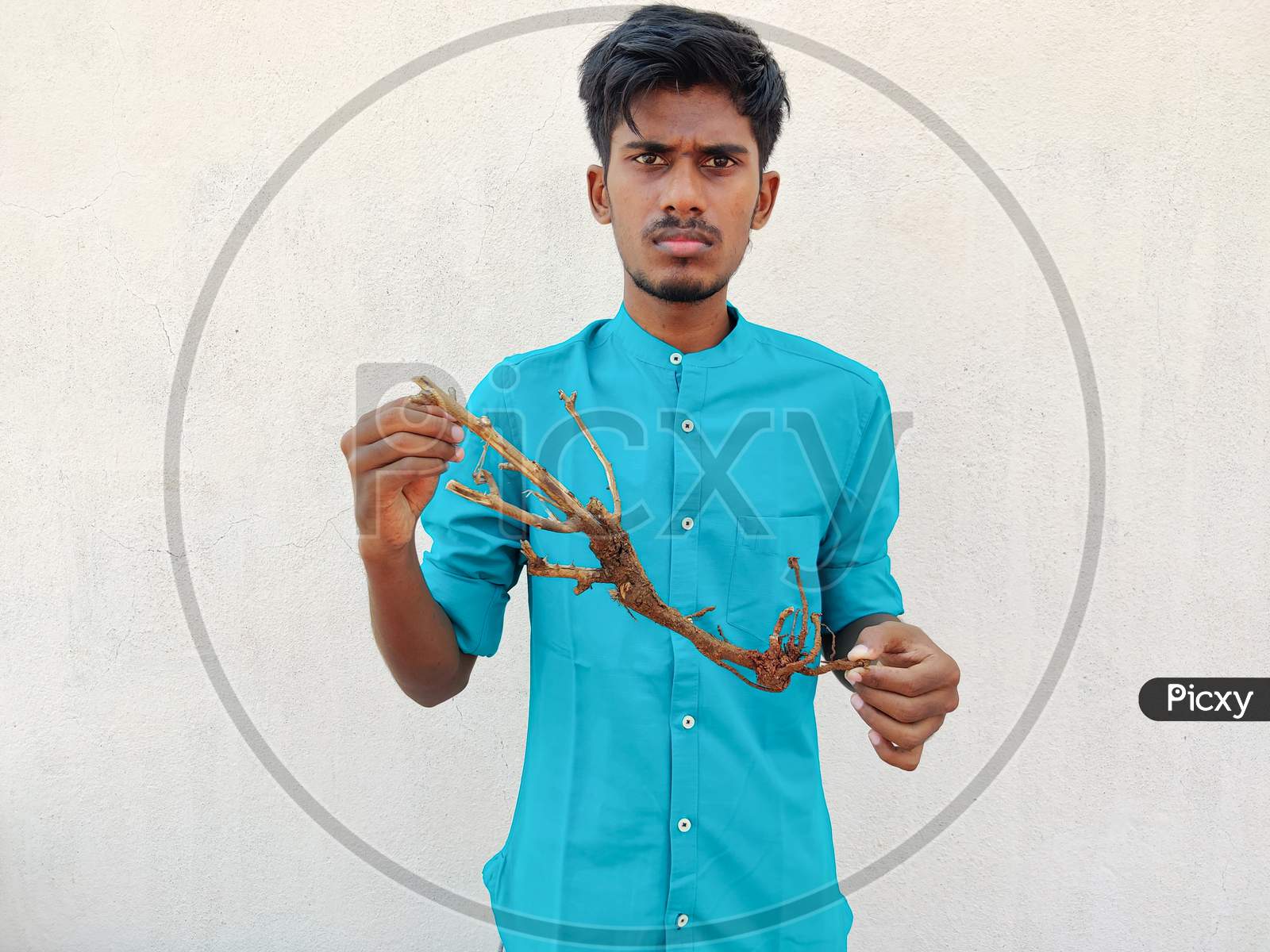 South Indian Man In Cyan Shirt Showing A Stem With Roots Of A Small Plant. Save Trees Concept, Isolated On White Background.