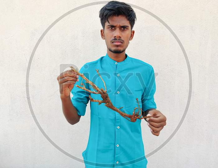 South Indian Man In Cyan Shirt Showing A Stem With Roots Of A Small Plant. Save Trees Concept, Isolated On White Background.