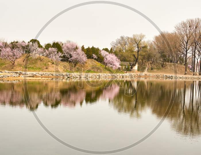 Old Summer Palace (Yuanmingyuan) Park In Spring In Beijing, China