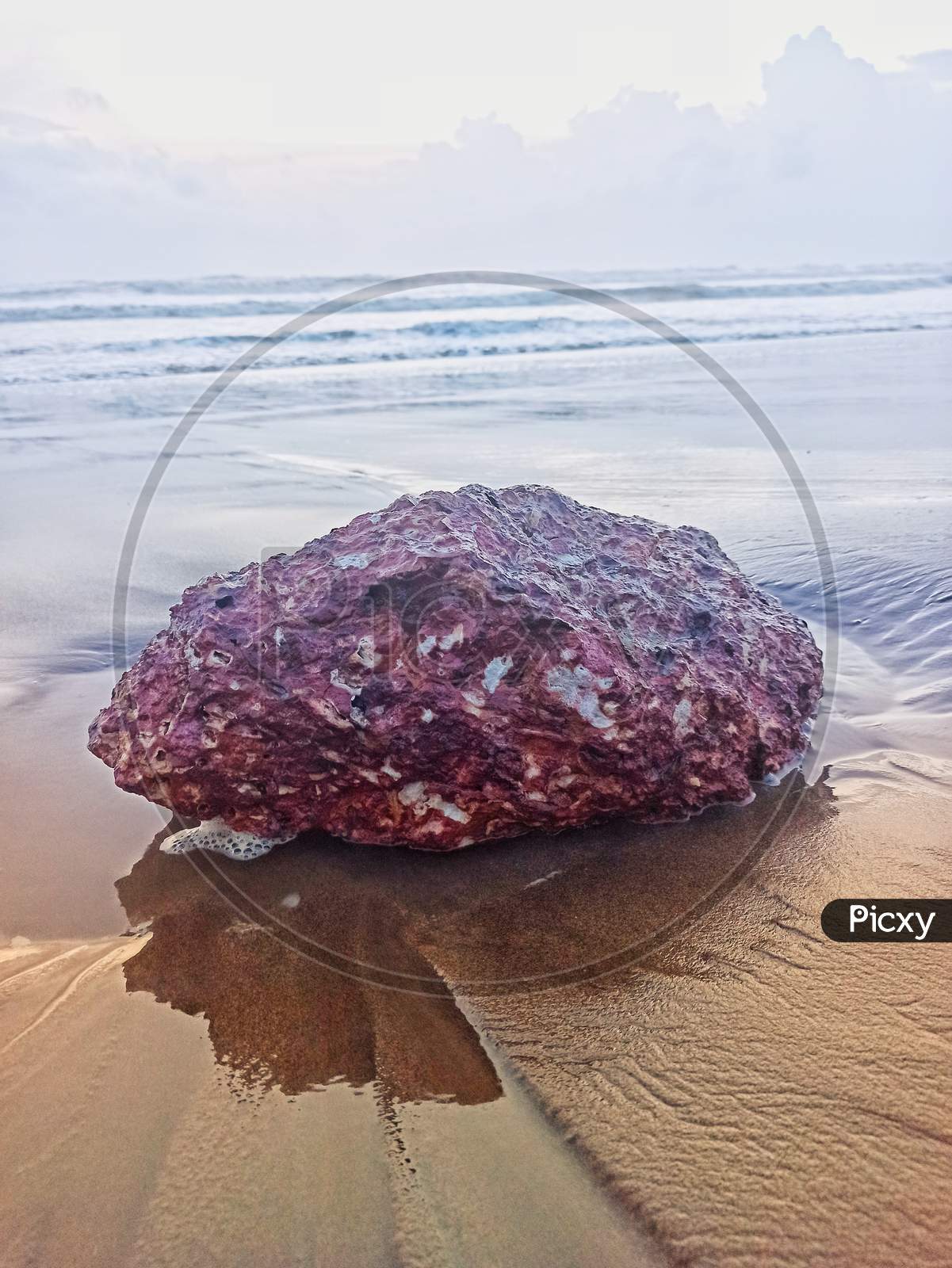 Sea Rock with shallow depth of field