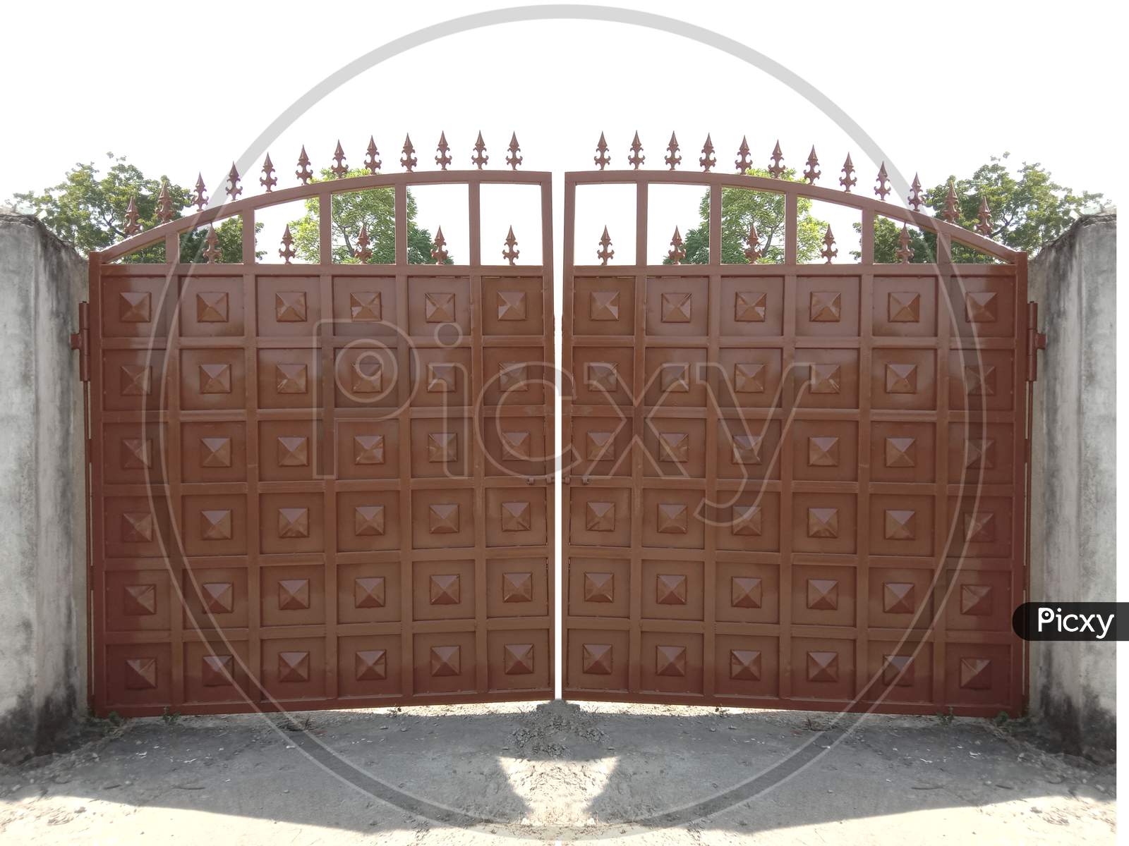 Royal Indian Rajasthani Door Gate Design