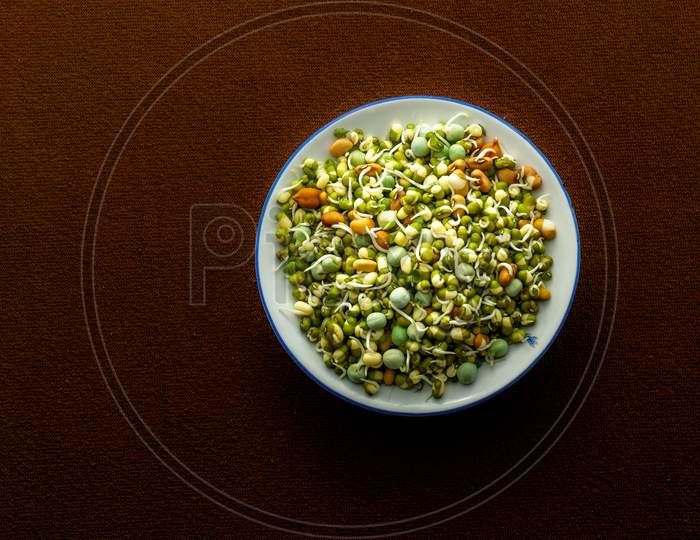 Healthy Sprouts In A White Plate