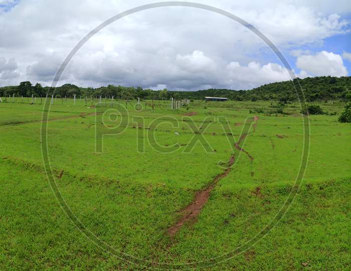 Field and sky view