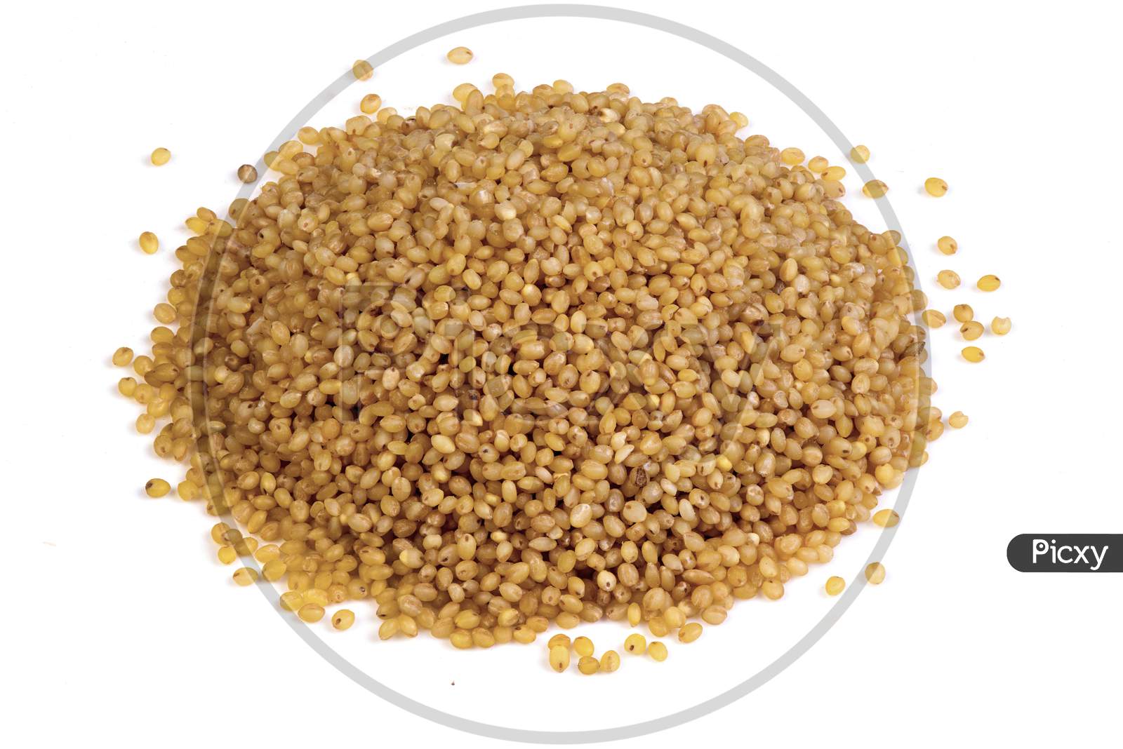 Foxtail Millet Against A White Background, Isolated