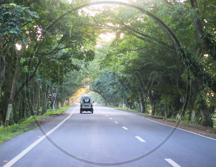Assam NH 37