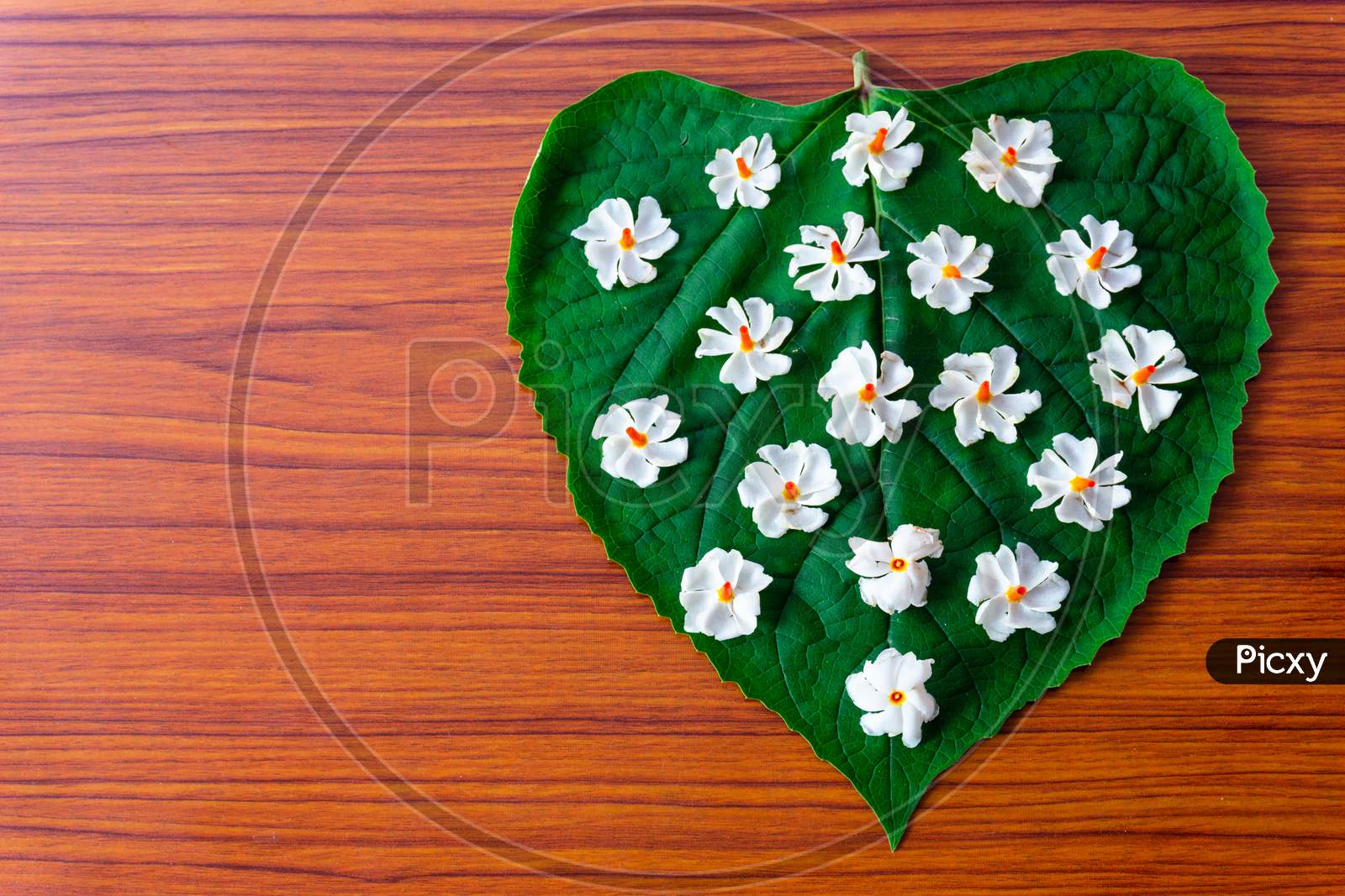 Image of Parijatham Flower On A Leaf-QX213659-Picxy