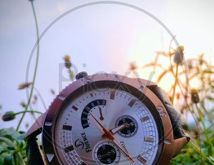 A watch in nature