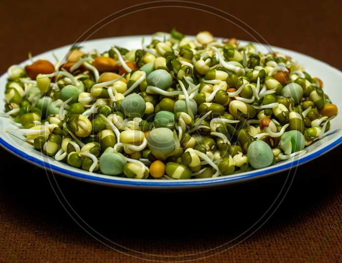 Healthy Sprouts In A White Plate