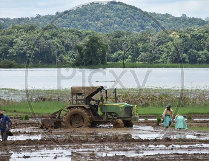 Agriculture in karnataka