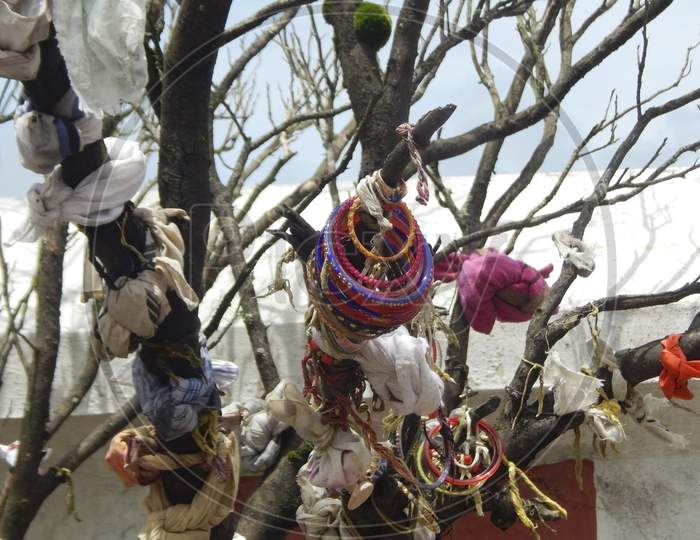 Strip Of Cloth, Bangles, Cradle Etc., Are Tied In The Branches Of Tree As Part Of A Healing Ritual