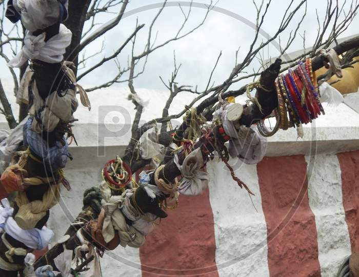 Strip Of Cloth, Bangles, Cradle Etc., Are Tied In The Branches Of Tree As Part Of A Healing Ritual