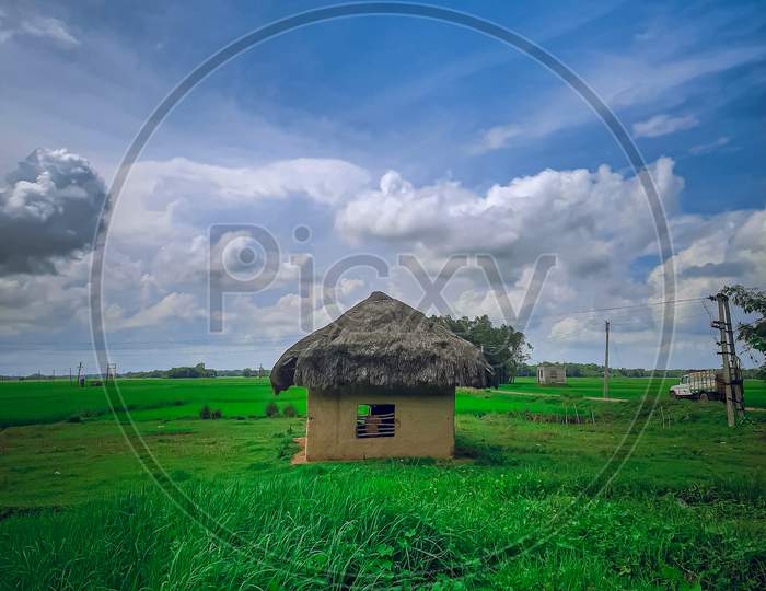 Nature Small House
