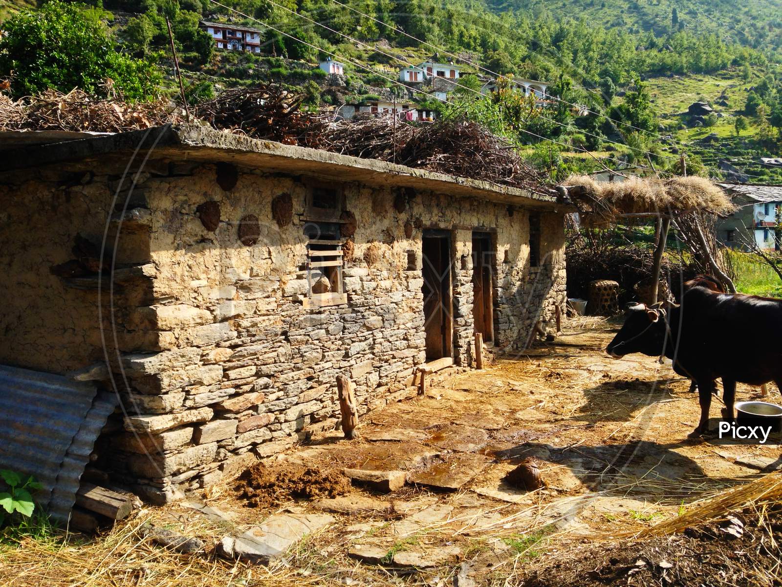 Village scene from a Himalayan Town