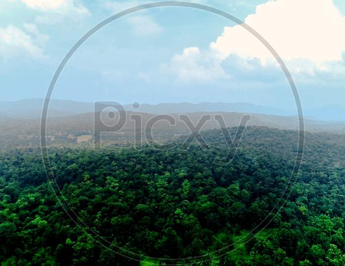 Drone Shot of forest on mountain