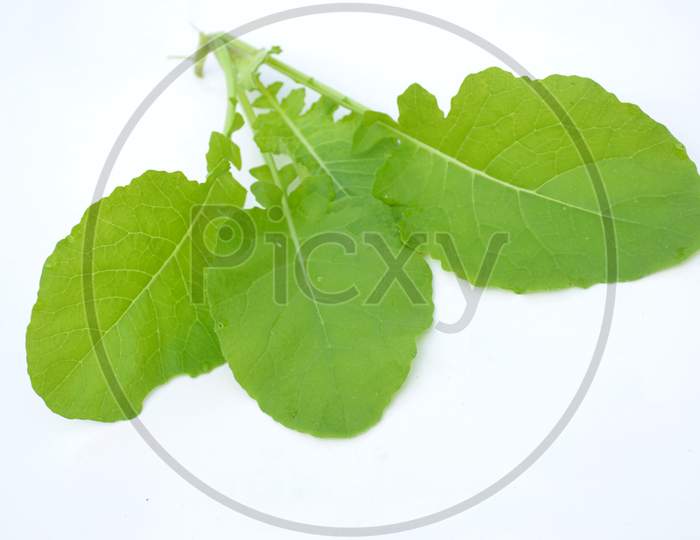 The Green Ripe Spinach Leaves Isolated On White Background.