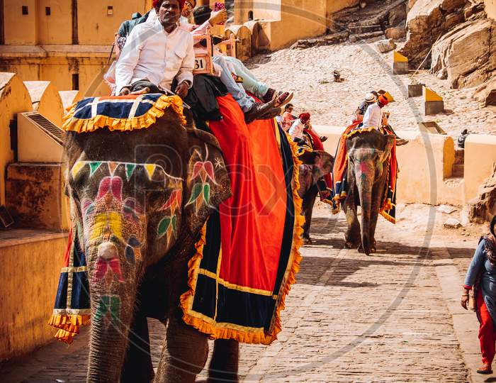 Rajasthani Elephant and people's Photograph
