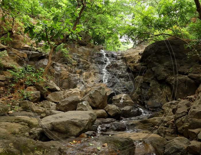 The Tiny Water Fall Surrounded By The Tress & Jungle