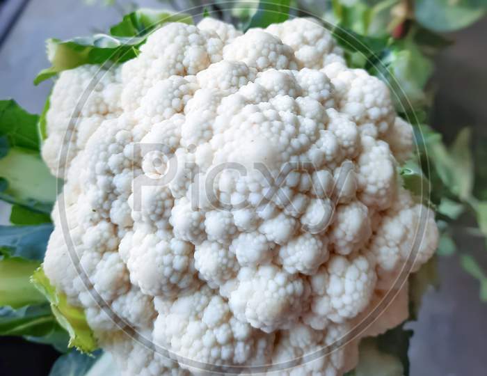 Indian Natural Artistic Cauliflower Closeup Vegetable Nature Healthy