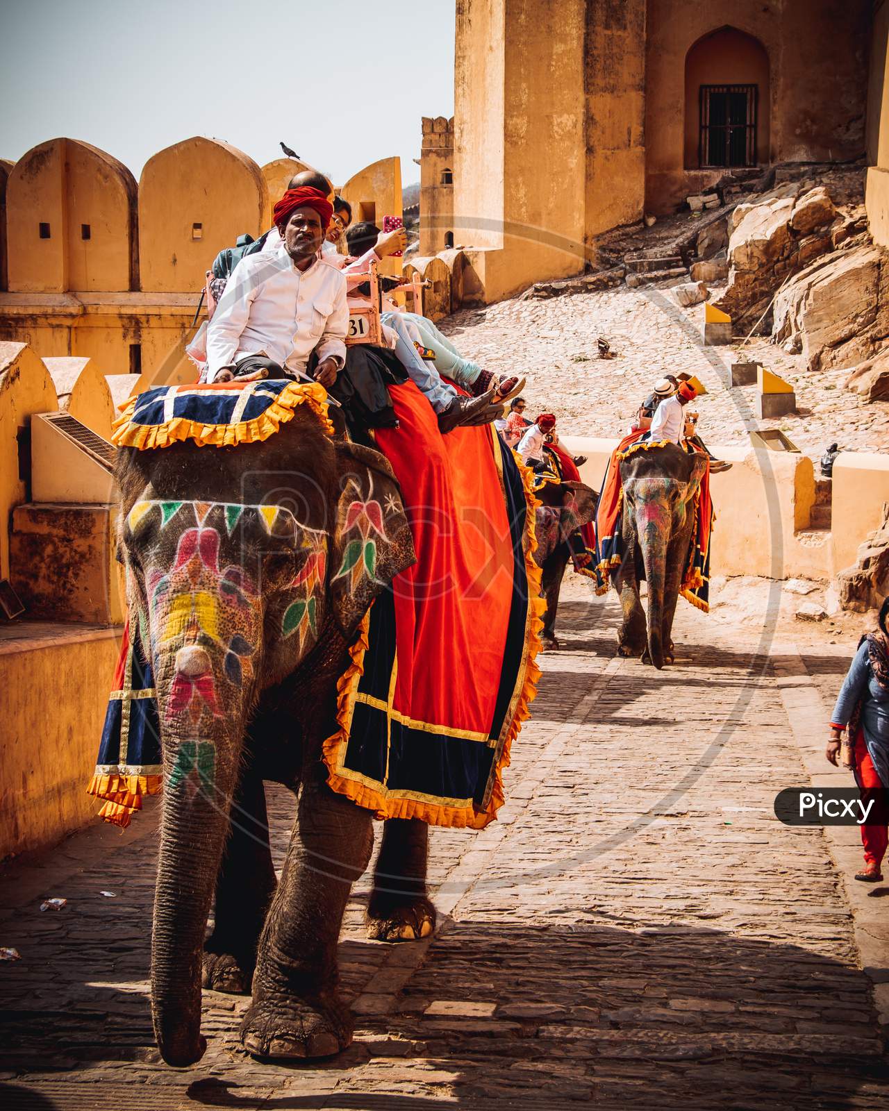 Rajasthani Elephant and people's Photograph