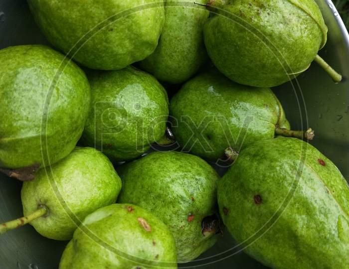 Gree guava