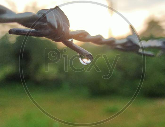 The last hanging drop of water