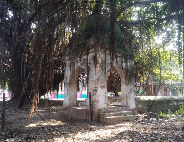 Old Hindu temple and jangle