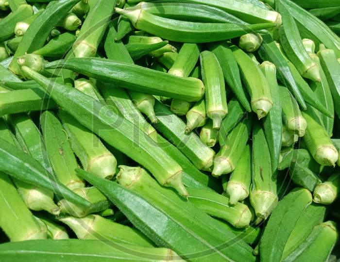 Green Colored Fresh Tasty Healthy Lady Finger Stock