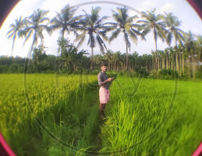 View Of A Man Standing In A Paddy Field Focus On The Middle