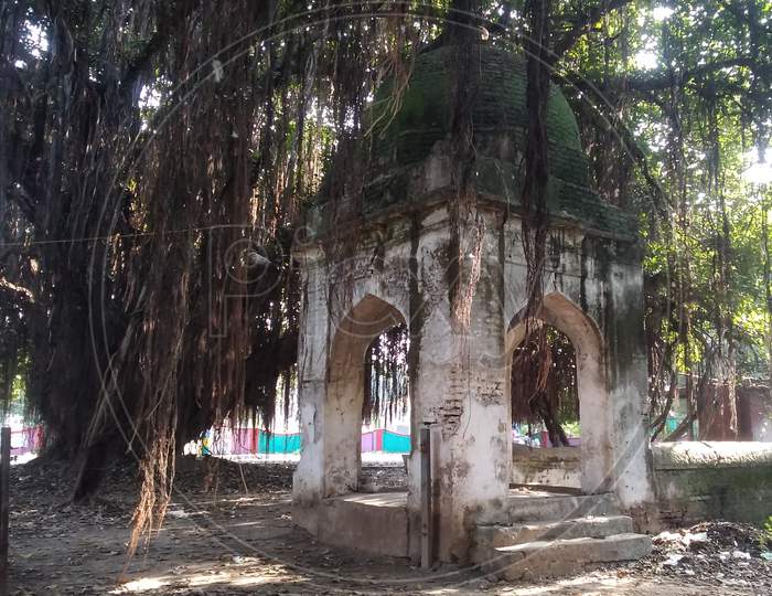 Old Hindu temple and jangle