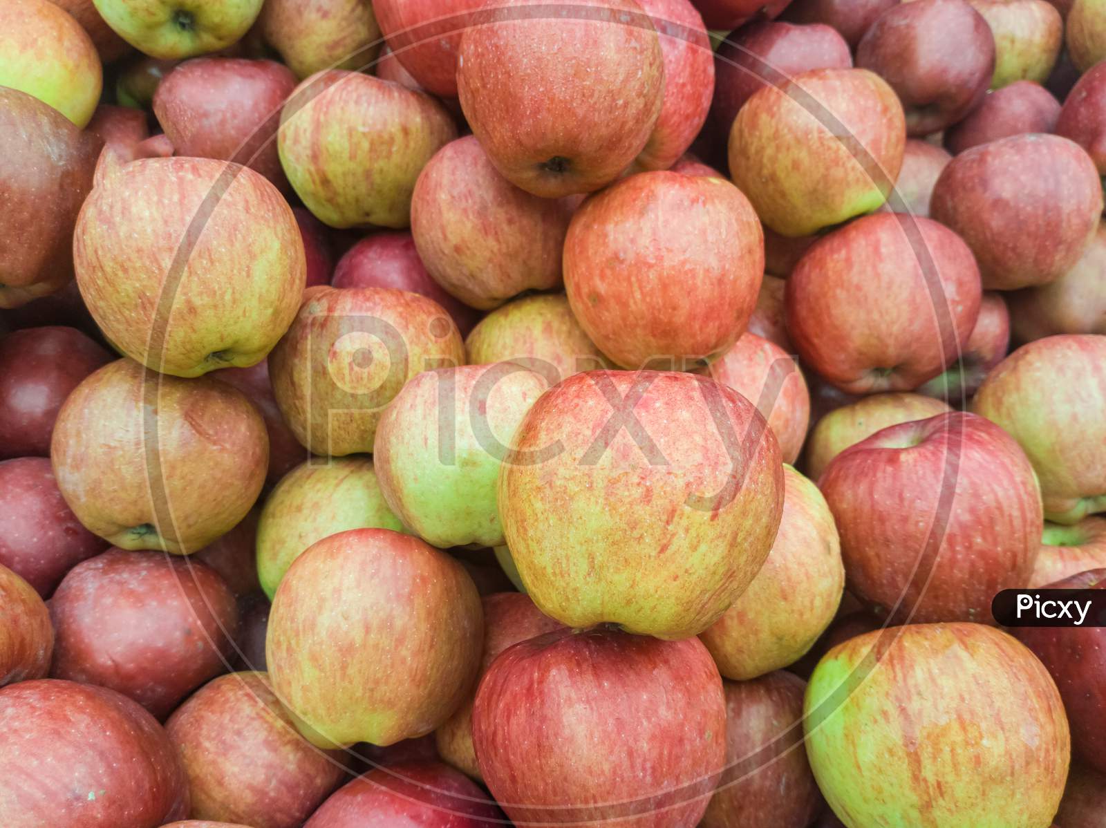 Seasonal Delicious Sweet Apple  Shop Display