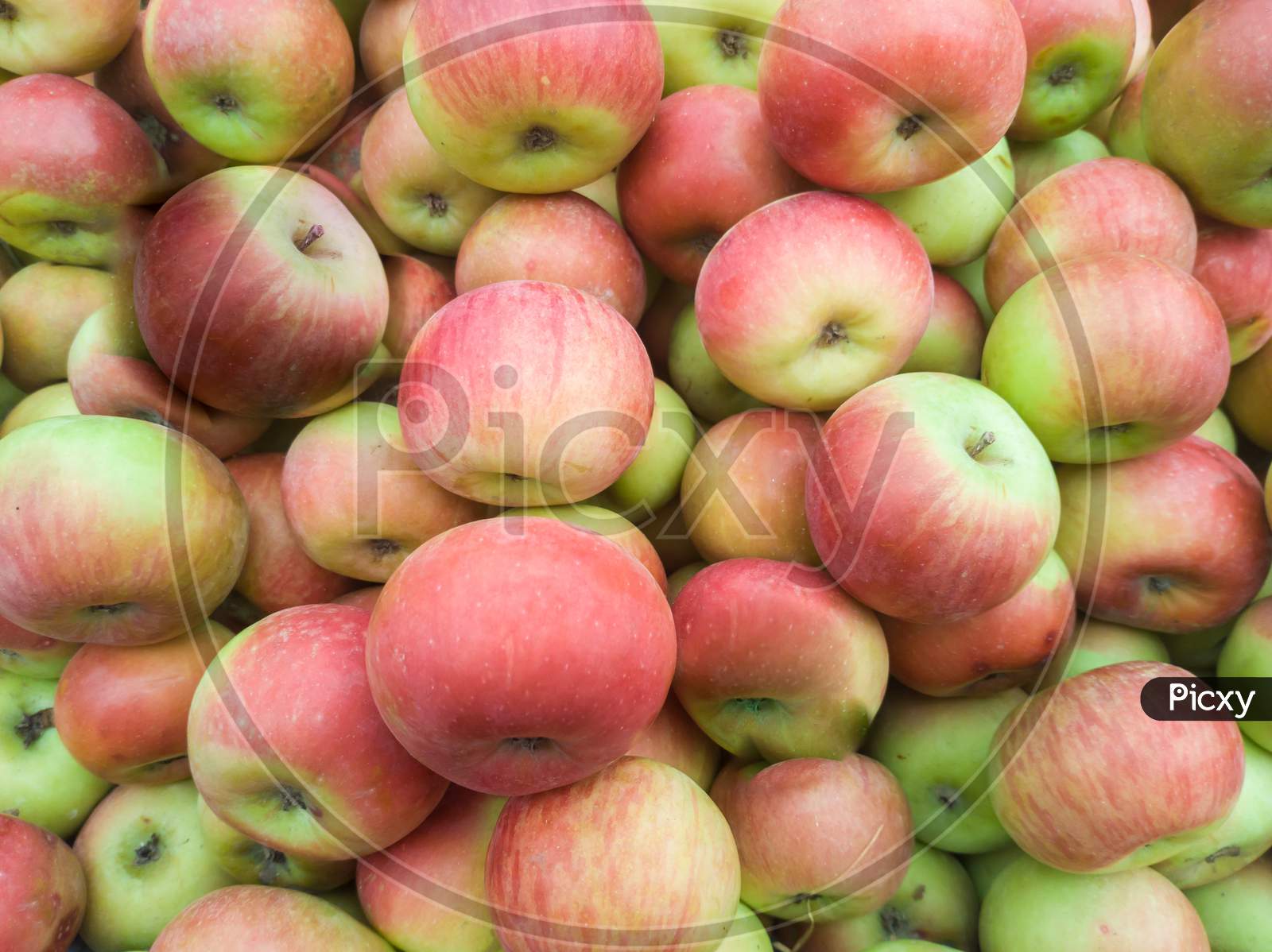 Seasonal Delicious Sweet Apple  Shop Display