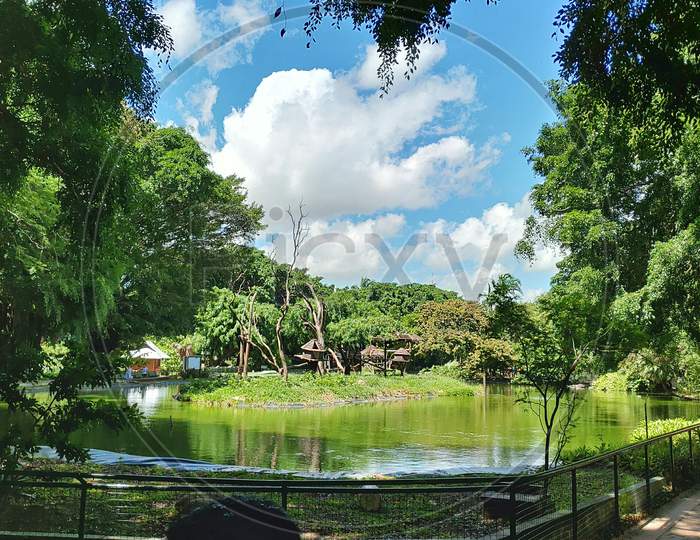 Green Scenery of park with small lake