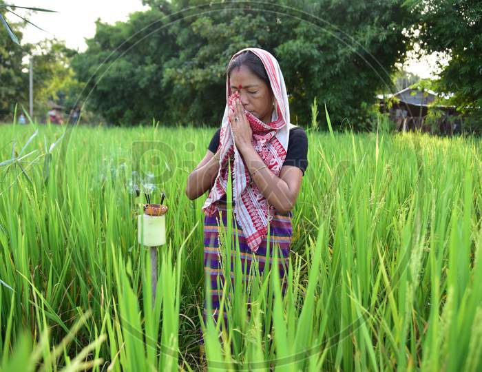 Women   offers prayers in his paddy field on the occasion of 'Kati Bihu' or 'Kangali Bihu' festival, celebrated by lightning candles and lamps to ask for the health of the crops, in Rani village on the outskirts of Guwahati on Oct 17,2020.