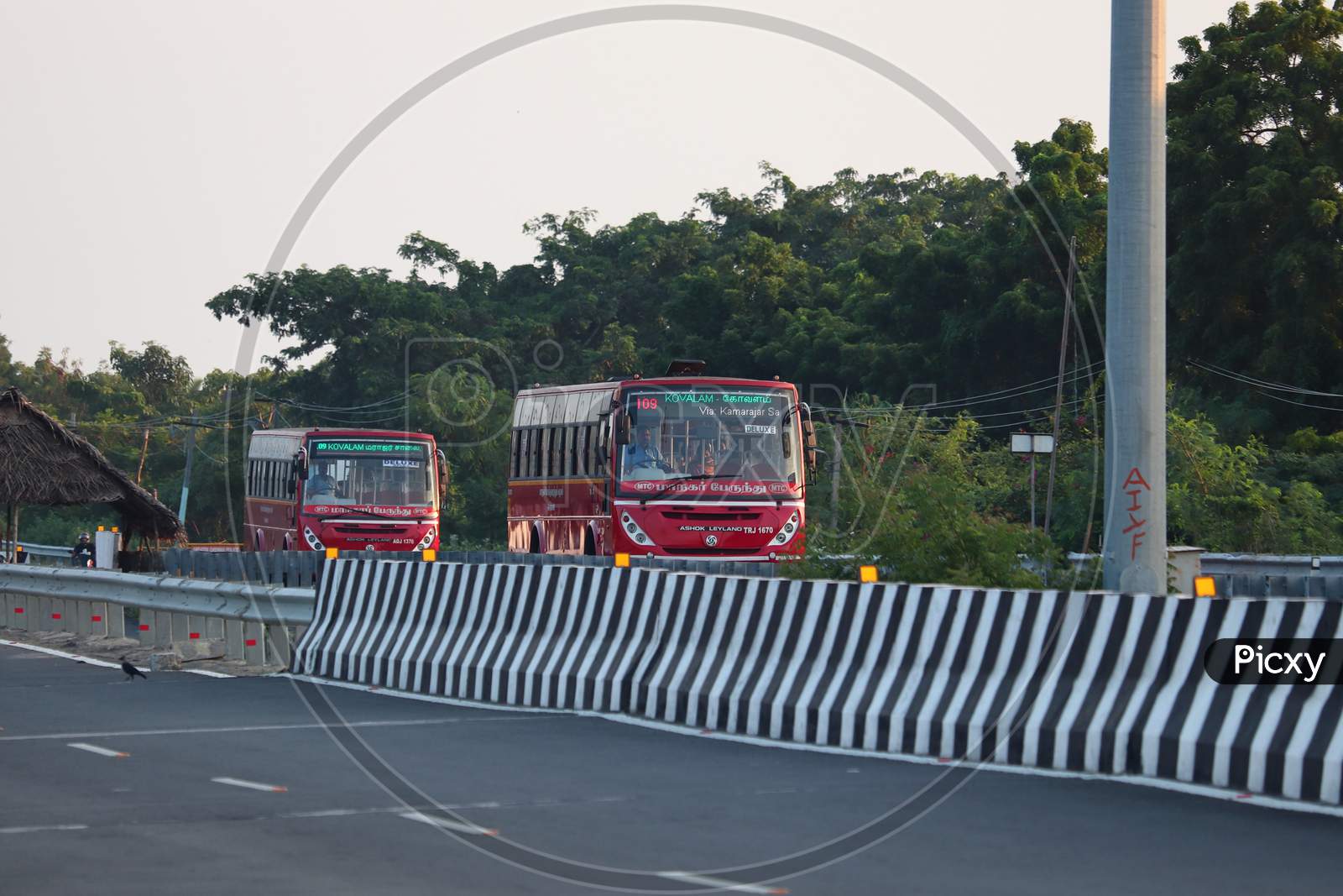 Local Urban Red Buses Service Of Tamil Nadu Government
