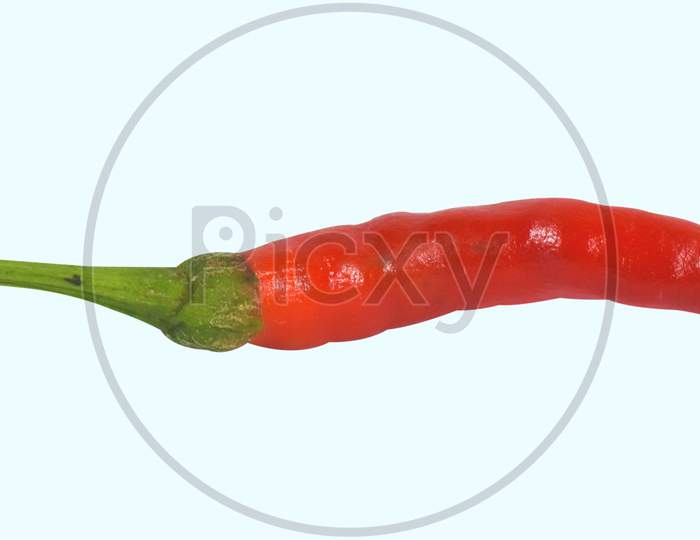 Red Chilli with Green Stem.
