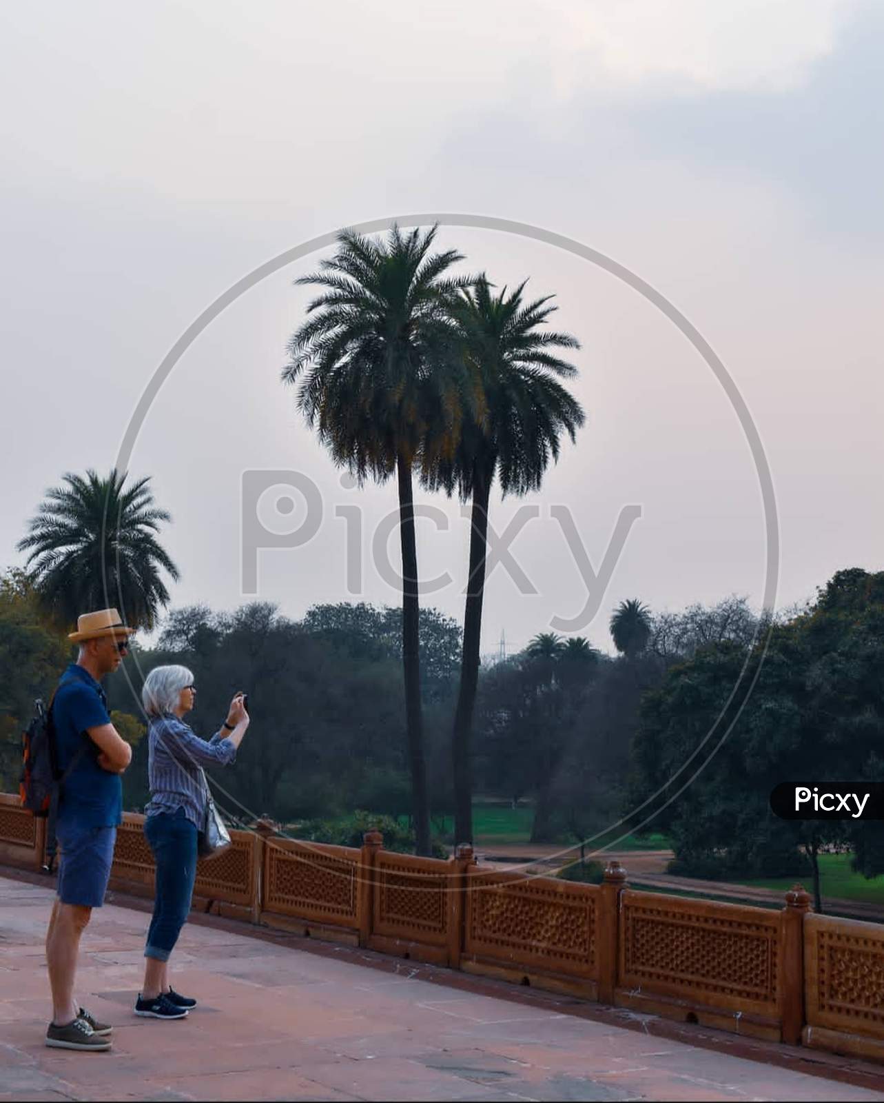 Foreigners visit place. Palm tree plant tree
