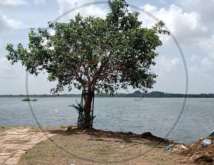 Bortalav Lake Bhavnagar