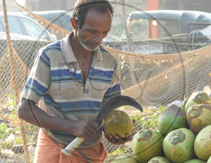 Coconut seller for his earning